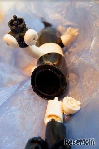 【前回大会】幼児部門グランプリ：長歩睦さん（日本）「海の中にいる生物」