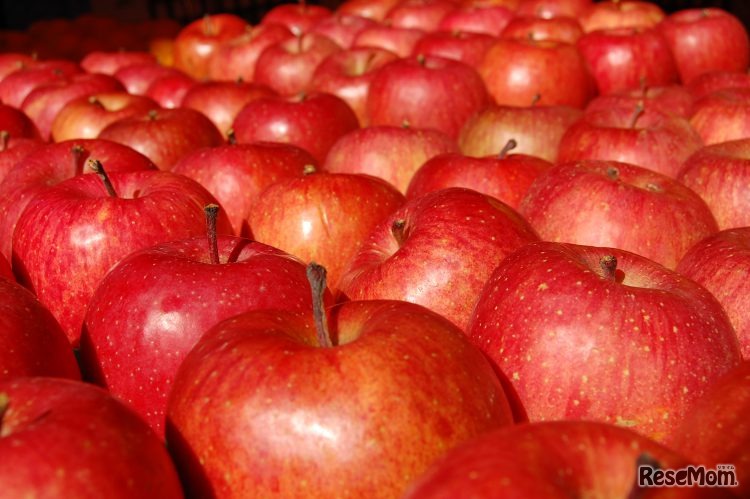 フレッシュでおいしい「ふじ」「紅玉」「吟壌りんご（ふじ）」（画像はイメージ）