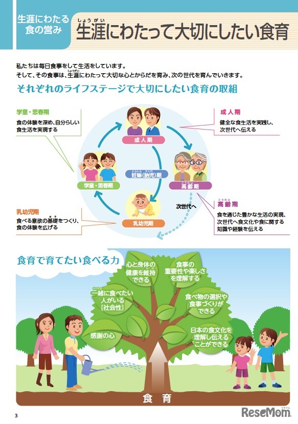 生涯にわたる食の営み