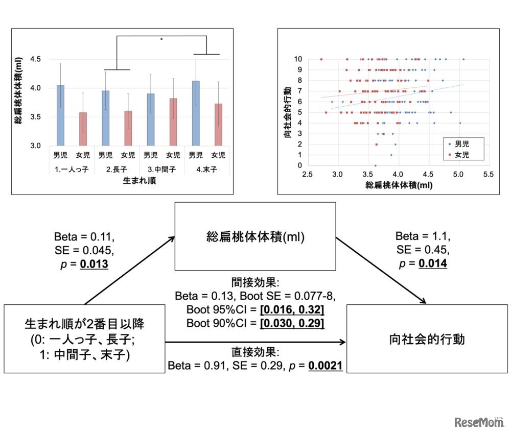 生まれ順と向社会性との関連に対する扁桃体体積の媒介効果
