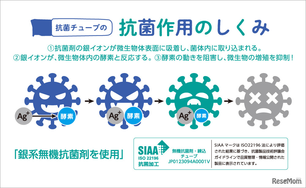 チューブの抗菌作用の仕組み