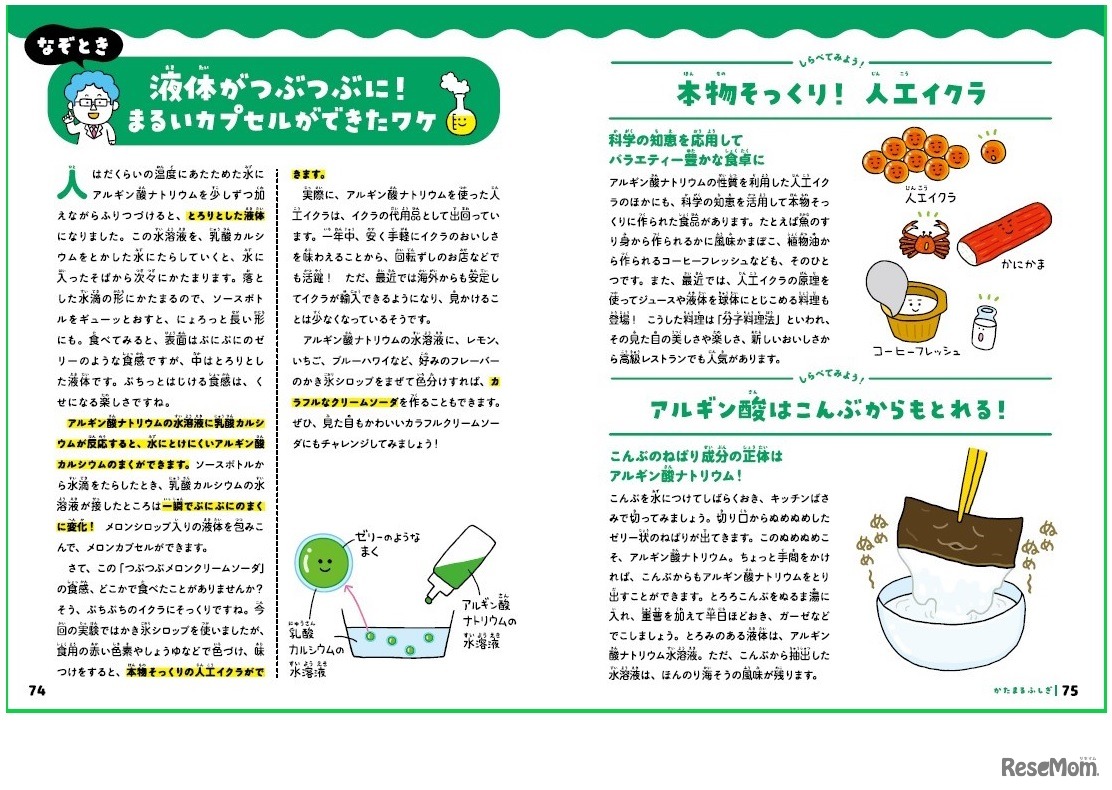 「理系脳をつくる食べられる実験図鑑」