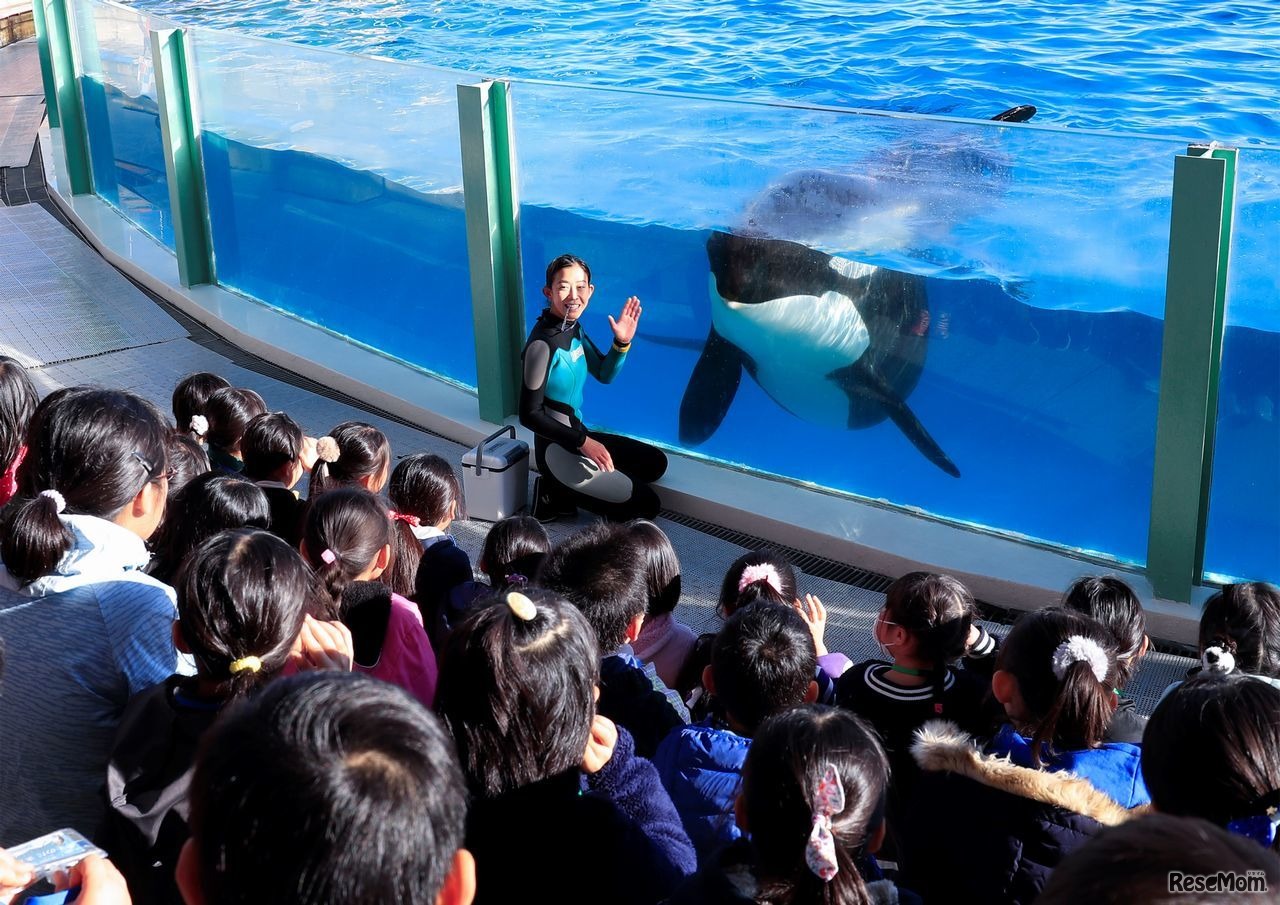 ウインタースクール