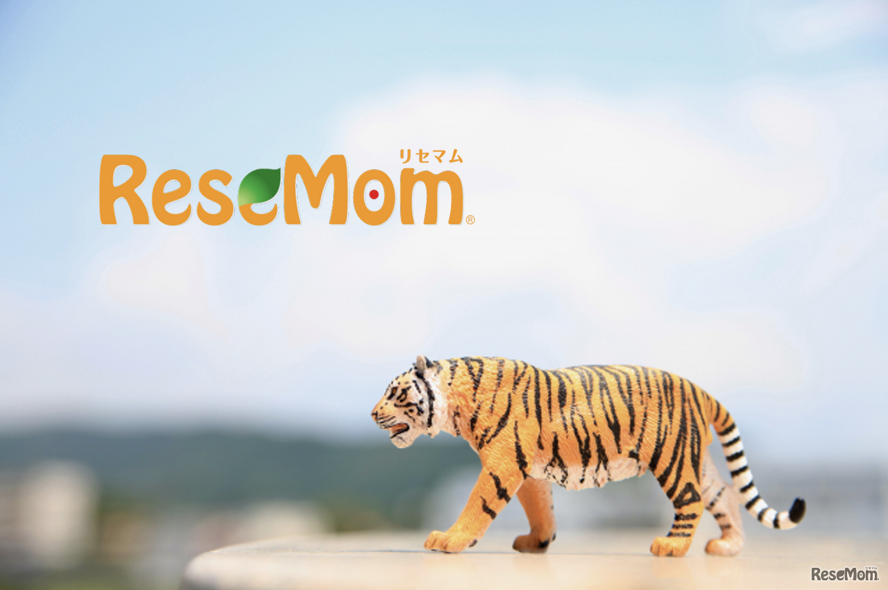 【年頭所感】教育業界のキーマンに聞く2022年…社会変化を乗り越える教育へ