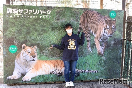 寅（トラ）年記念のフォトスポット