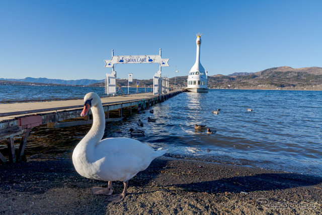 山中湖遊覧船『白鳥の湖』が停泊中。