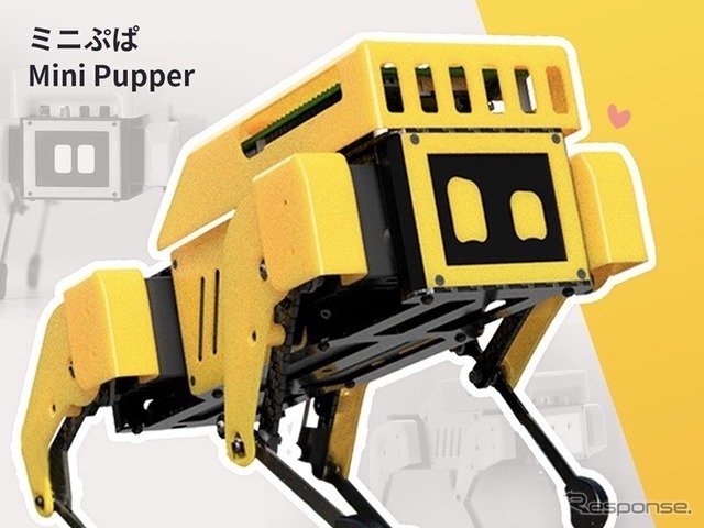 マンダン・ミニぷぱ