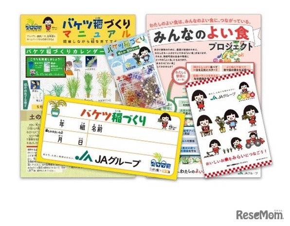 バケツ稲づくりセット