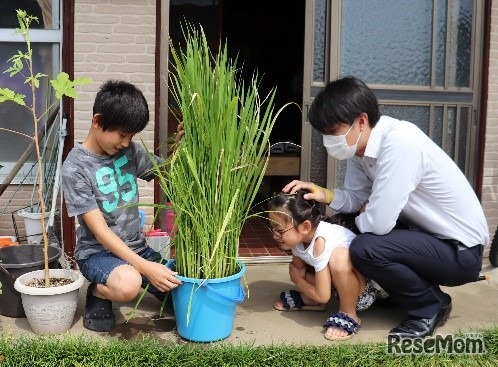 「JA足利あぐりキッズクラブ」の参加児童宅