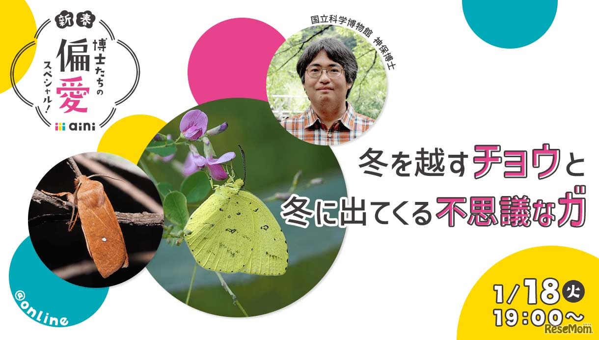 冬を越すチョウと冬に出てくる不思議なガ