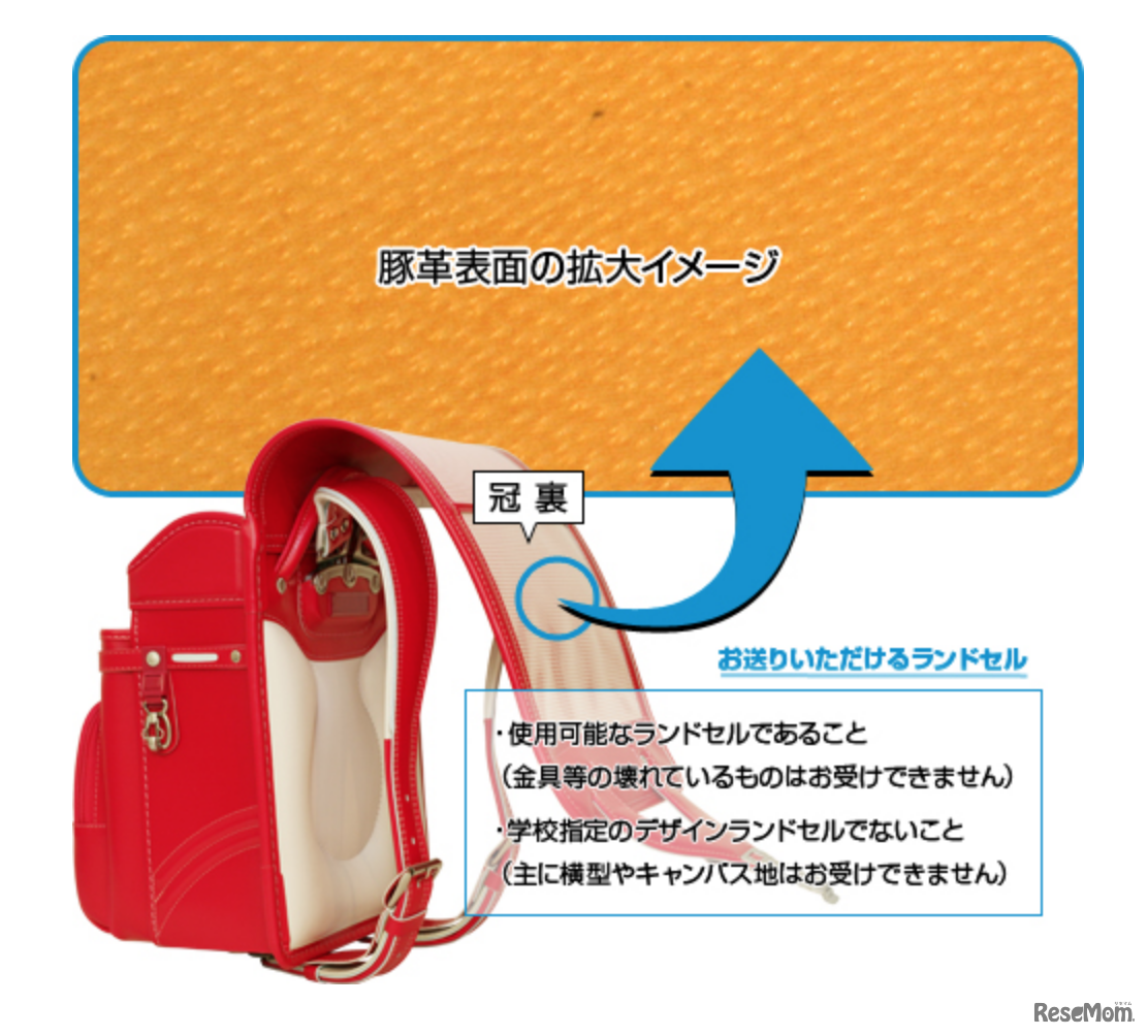 豚革の見分け方