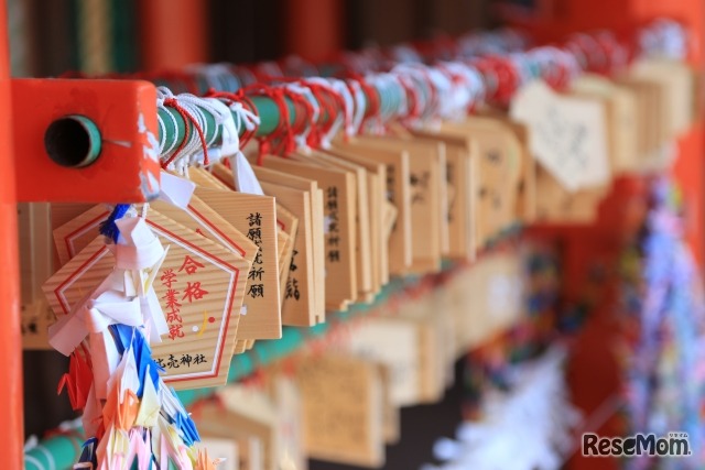 画像はイメージです