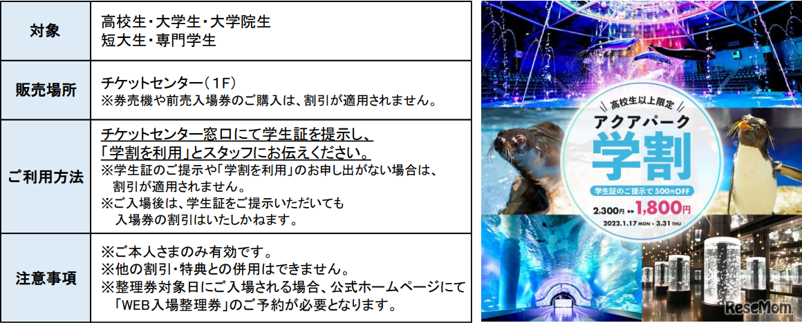 マクセル アクアパーク品川「アクアパーク学割」