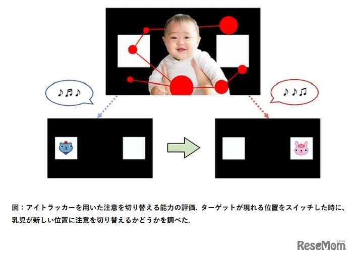 アイトラッカーを用いた注意機能の定量的分析