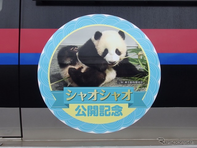 京成・双子パンダヘッドマーク大集合！