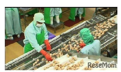 カビンブリ第2工場の様子