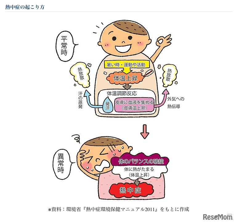 熱中症の起こり方