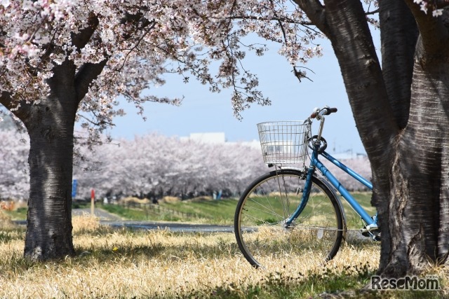通学中の事故にも対応、新生活を安心して迎えるためのお守り的存在「学生あんしんパスポート」
