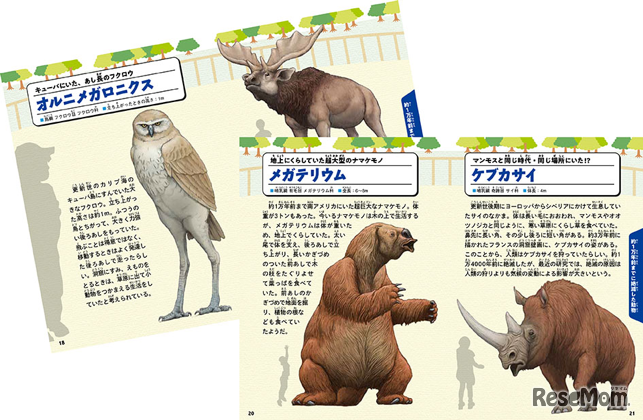 オールカラー36ページのミニ図鑑