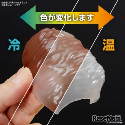 冷えると茶色に、あたたまると元の乳白色に変化する