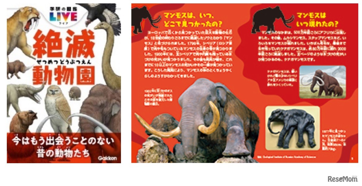 プラモデルの他に付属している「ミニ図鑑」