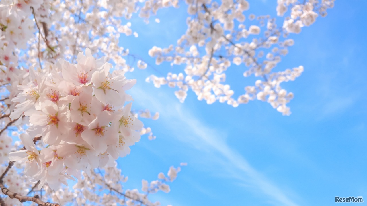 【大学受験】東大現役合格者853名を生んだ東進の「人間力を高める指導方針」とは