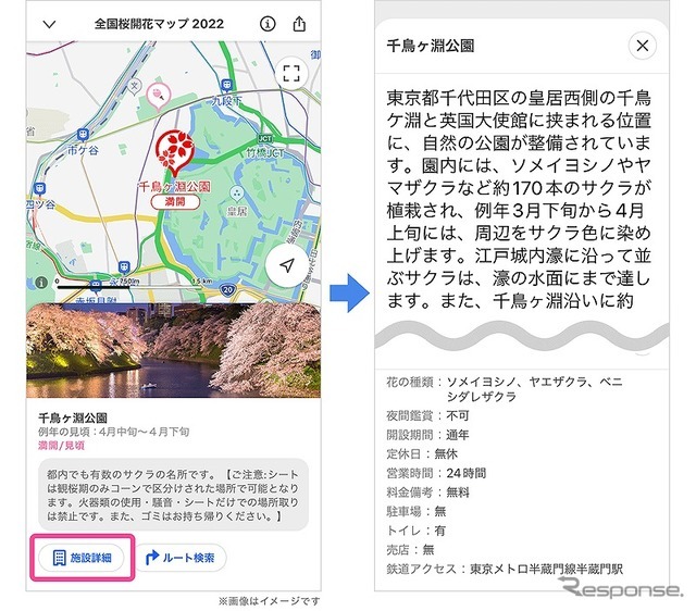 全国桜開花マップ 2022：施設詳細