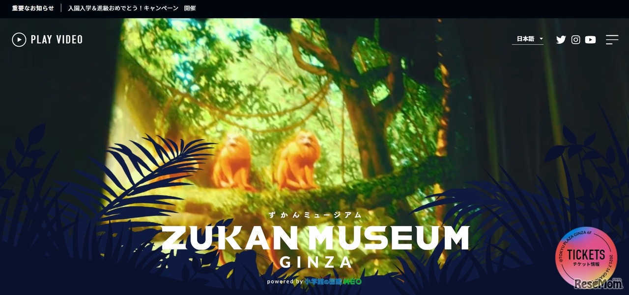 ZUKAN MUSEUM GINZA powered by 小学館の図鑑 NEO
