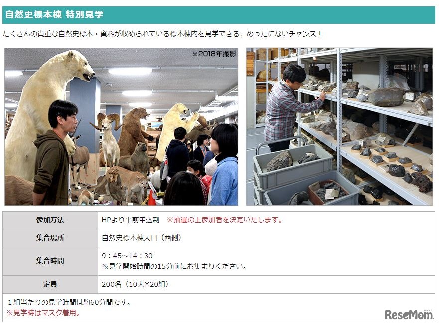 自然史標本棟 特別見学