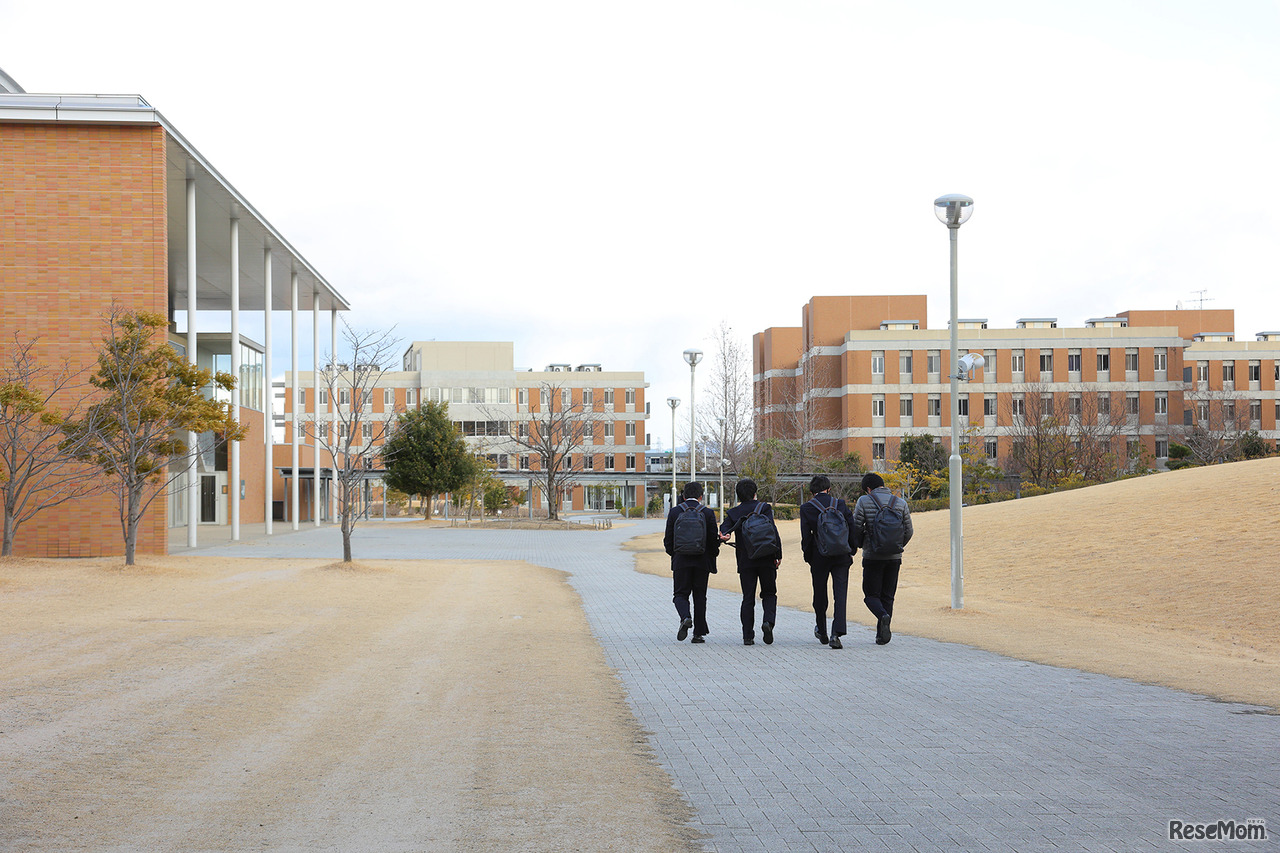 ハウスへの帰宅風景