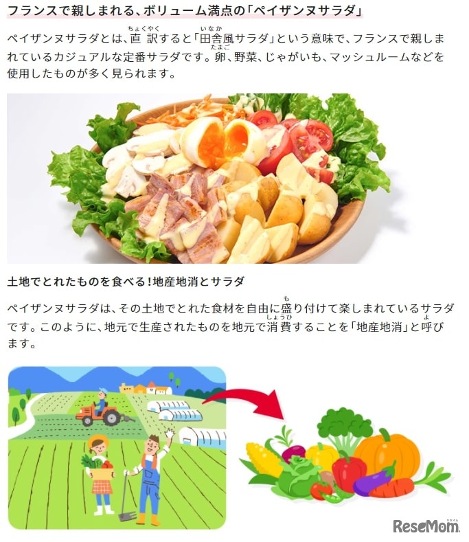 ペイザンヌサラダについて