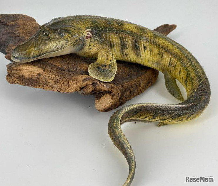 ティクターリク