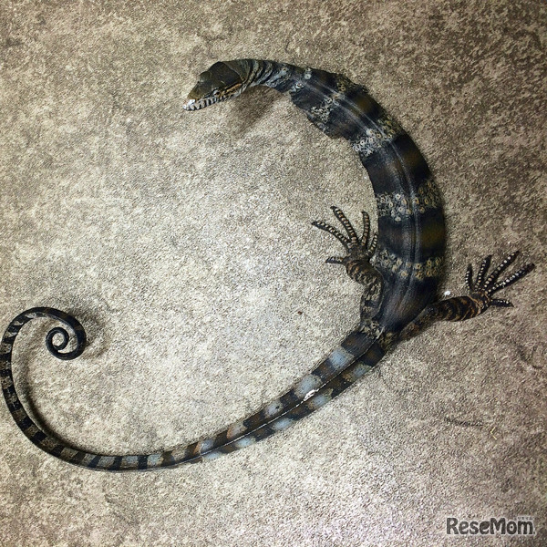 ポントサウルス