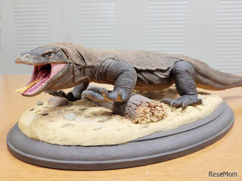 コモドドラゴン