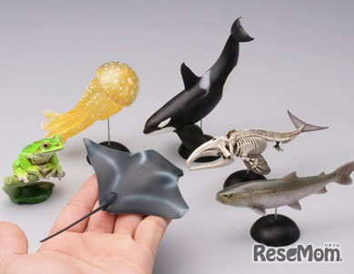 アクアテイルズシリーズ（各1,991円）