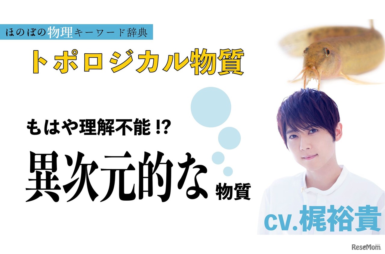 ほのぼの物理キーワード辞典