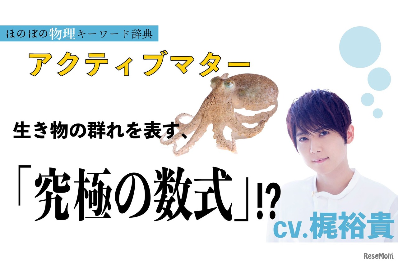 ほのぼの物理キーワード辞典