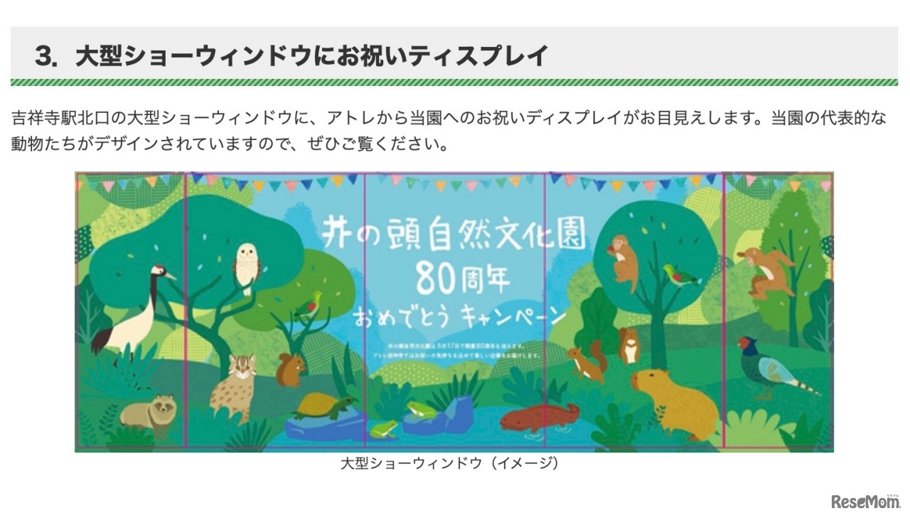 大型ショーウィンドウ（イメージ）