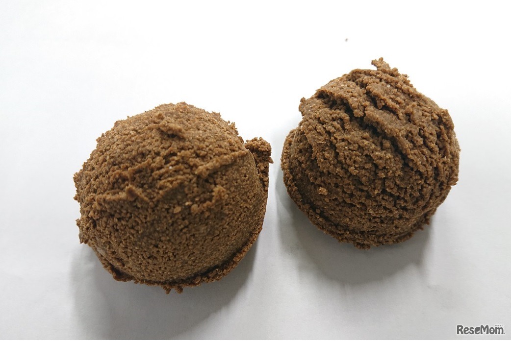 マイワシのエサ