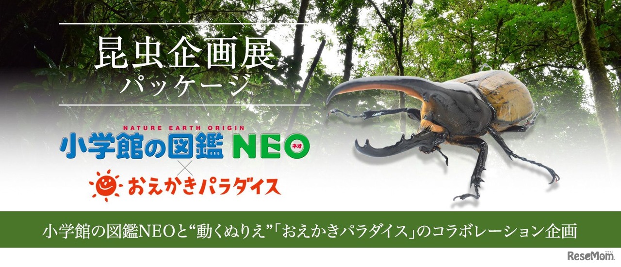 「昆虫企画展パッケージ」