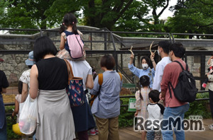 ガイドのようす（イメージ）