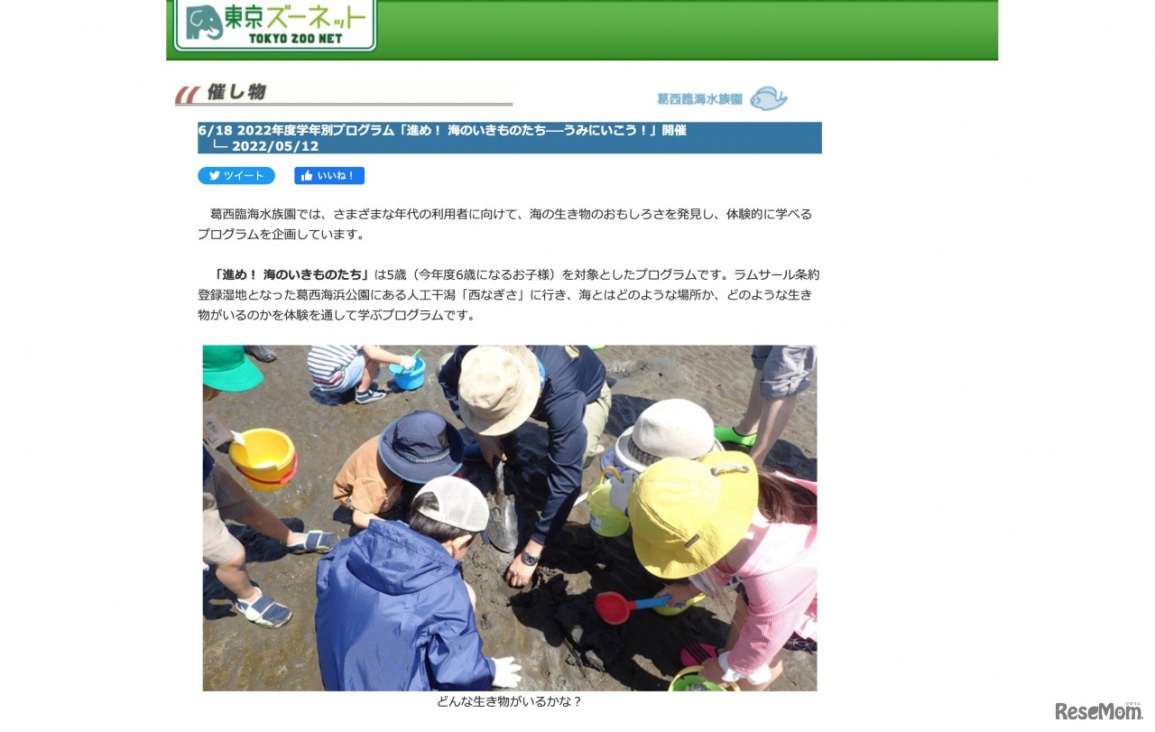 2022年度学年別プログラム「進め！海のいきものたち うみにいこう！」