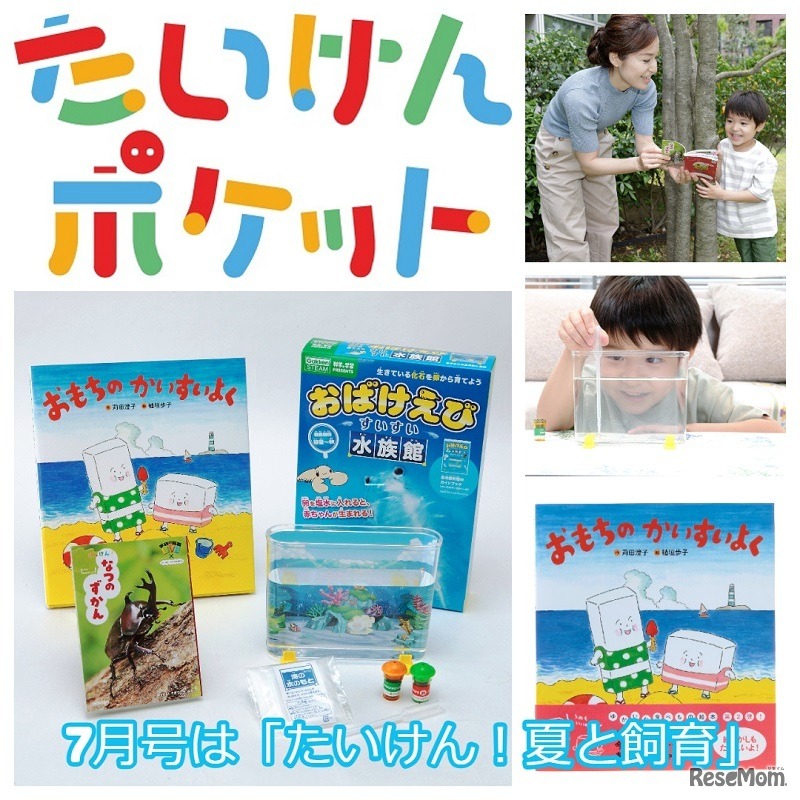 たいけんポケット7月号内容