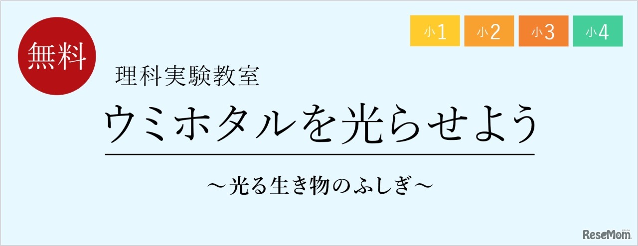 理科実験教室「ウミホタルを光らせよう～光る生き物のふしぎ～」