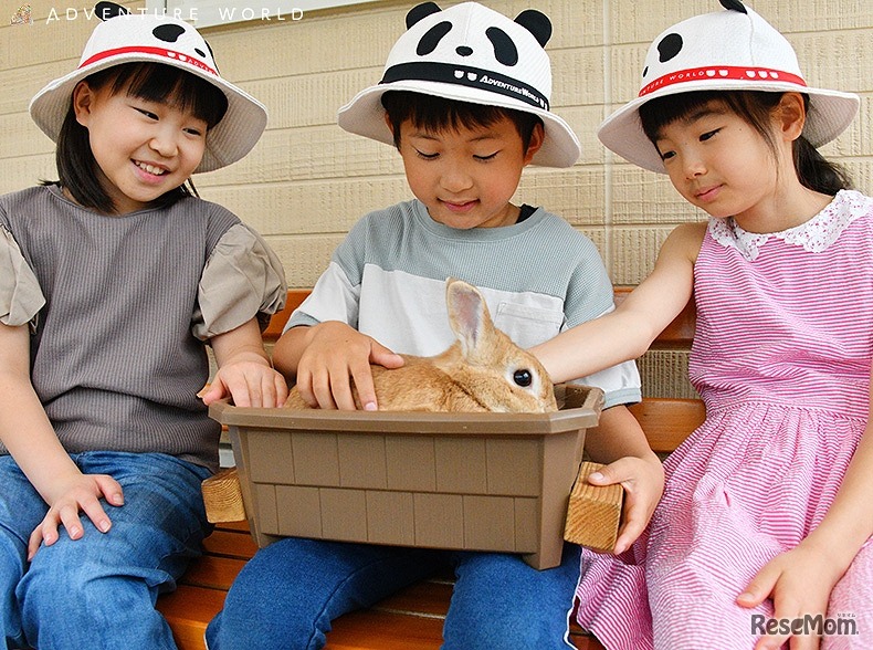 リーダーキッズ in アドベンチャーワールド