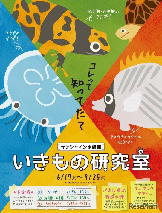 サンシャイン水族館 いきもの研究室