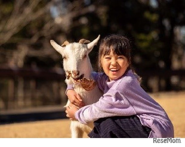 ふれあい動物園イメージ