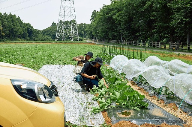 カングーファーム