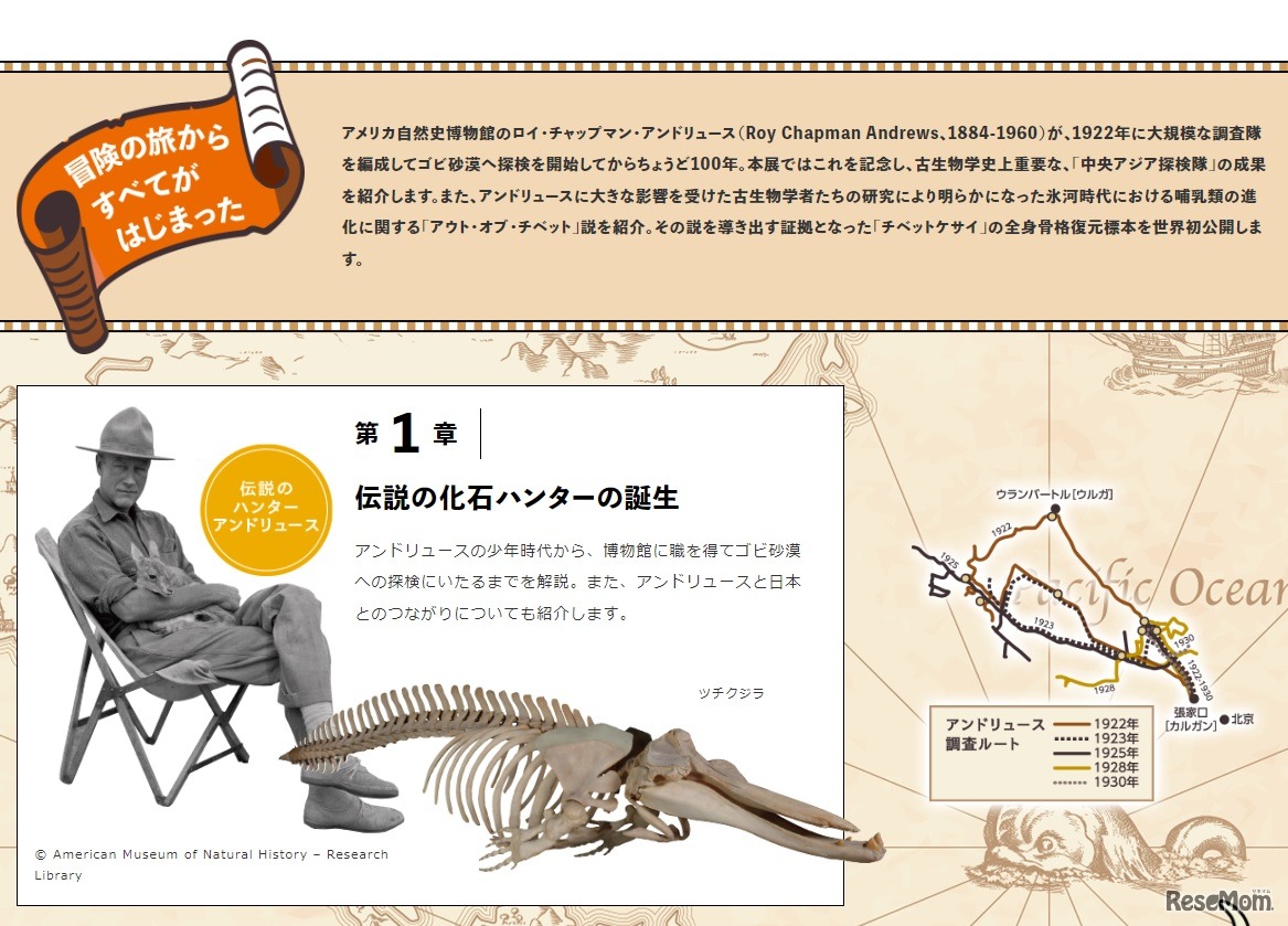 伝説のハンター　アンドリュース
