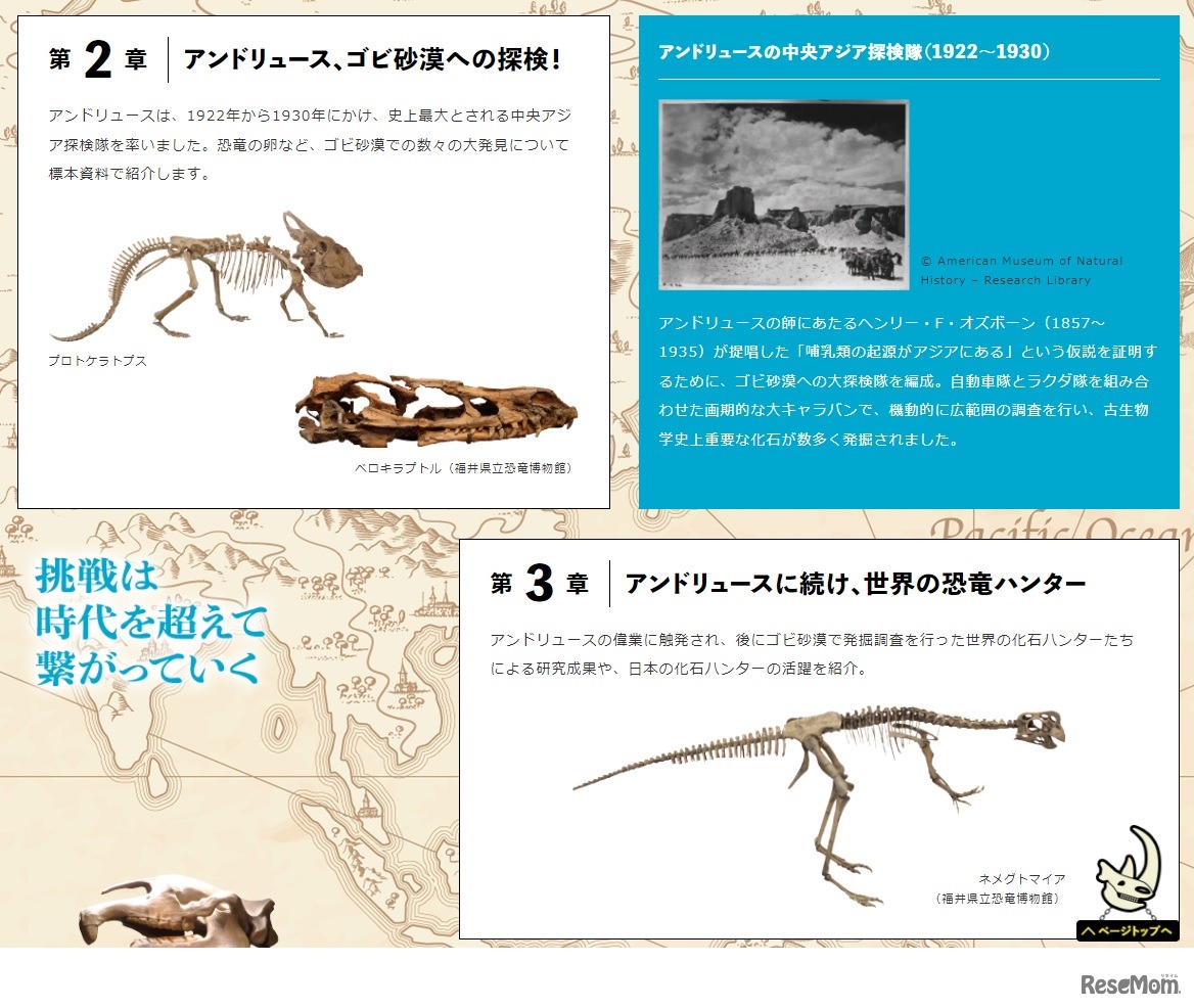 アンドリュース、ゴビ砂漠への探検